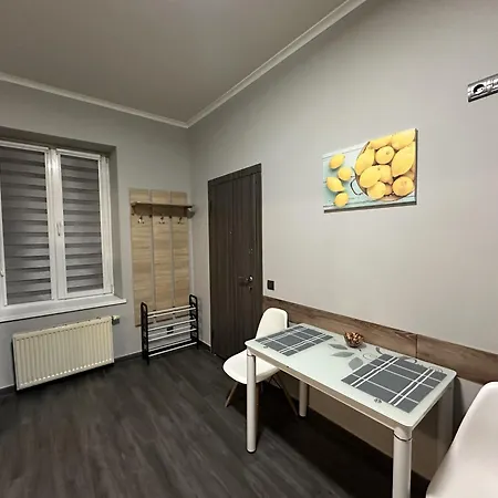 Modern Near Opera House Apartment Lviv